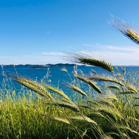 Ecobeachvilla Buqez 9 Pakoštane Exterior foto